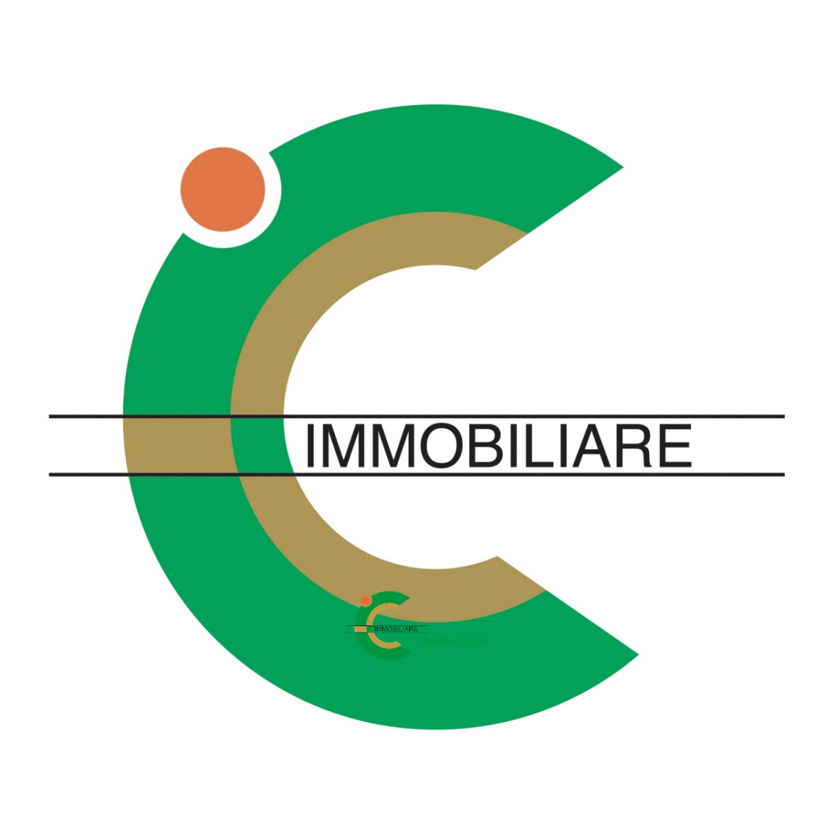 logo ag. imm. caon