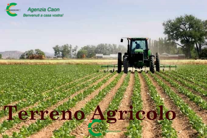 terreno agricolo